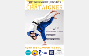31 EME TOURNOI DE JUDO DES CHATAIGNES  LABEL A